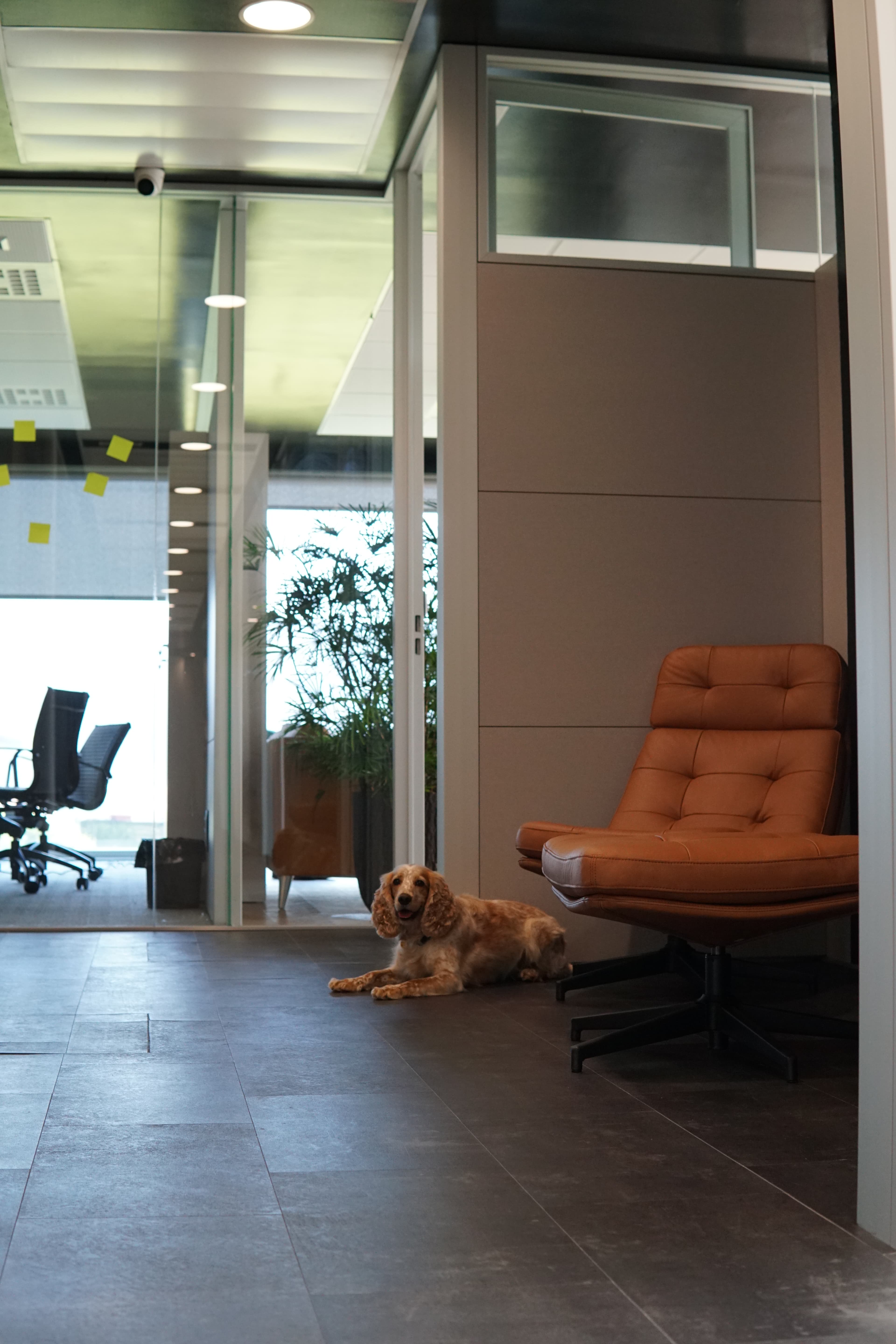 ArtificialSeed office