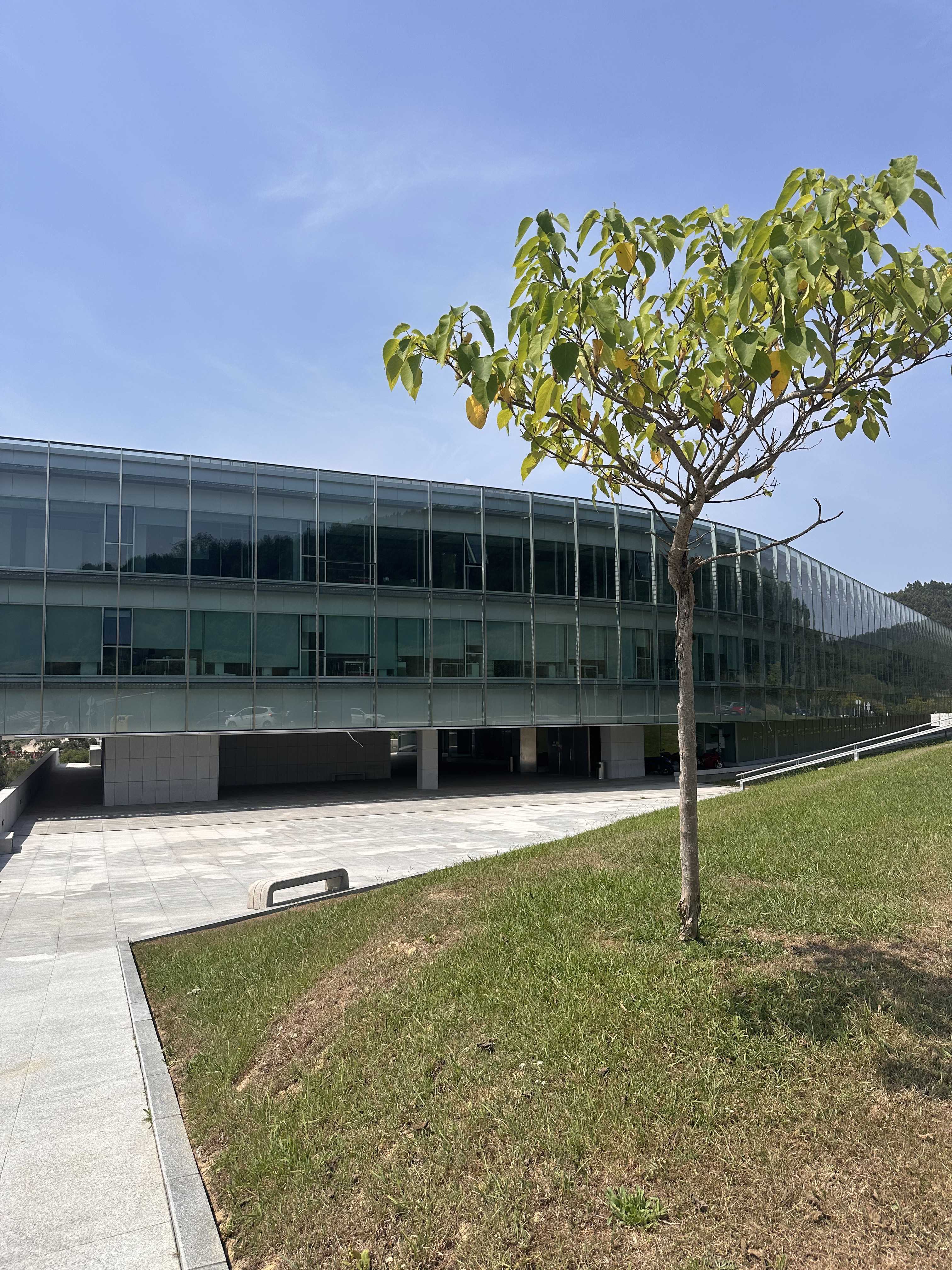 ArtificialSeed office